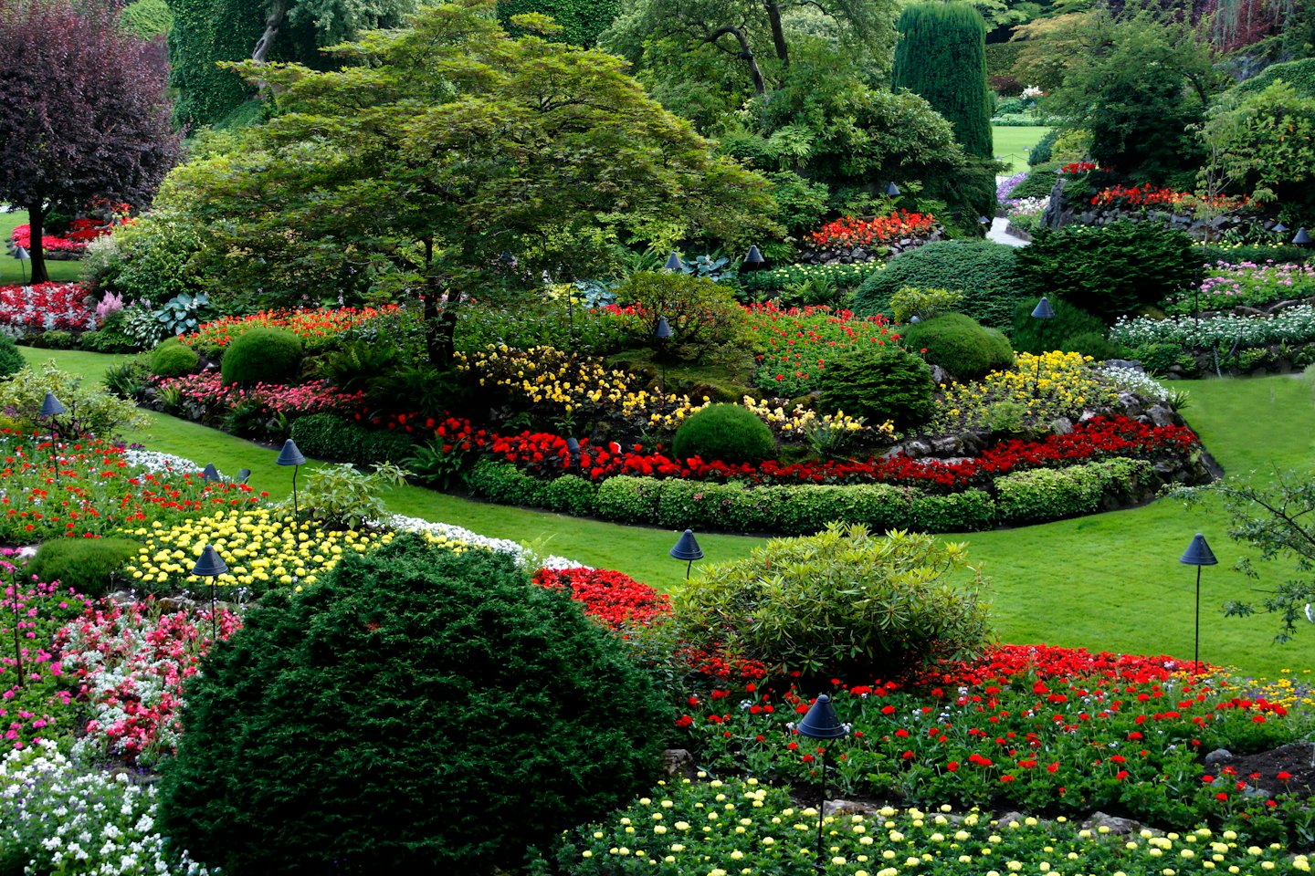 Gepflegter Garten mit bunten Blumenbeeten und saftig grünen Rasenflächen.
